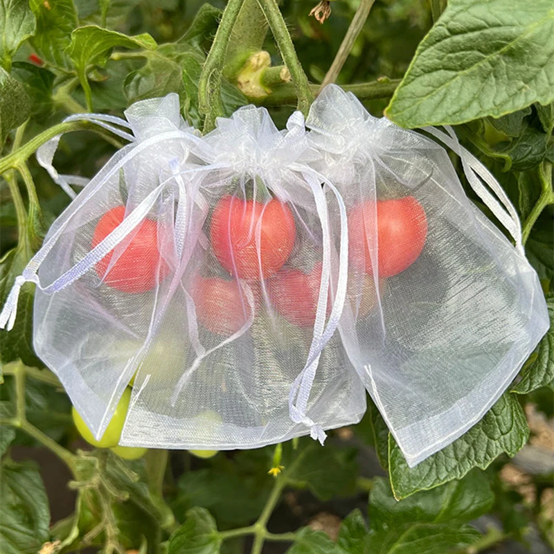 套果袋尼龙网袋纱网防鸟防虫袋 草莓无花果等水果蔬菜专用