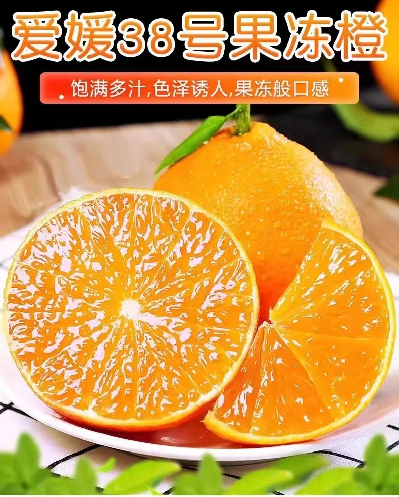现摘现发四川爱媛38号果冻橙子手剥橙柑橘应季水果