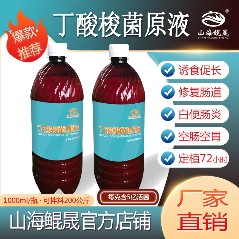 山海鲲晟丁酸梭菌原液水产养殖专用高浓度拌料诱食鱼虾蟹塘调肠道