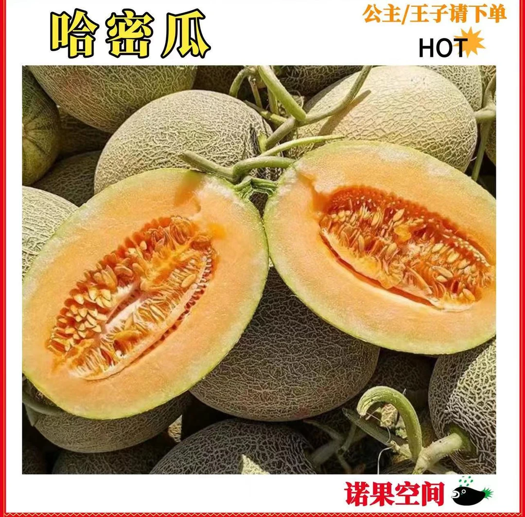 脆甜小哈密瓜一个约1500g