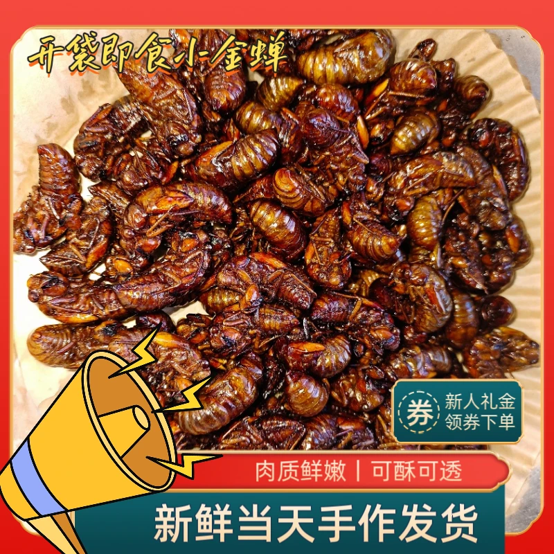 油炸知了猴金蝉爬叉猴即食油炸知了开袋即食新货小爬蝉食品虫子