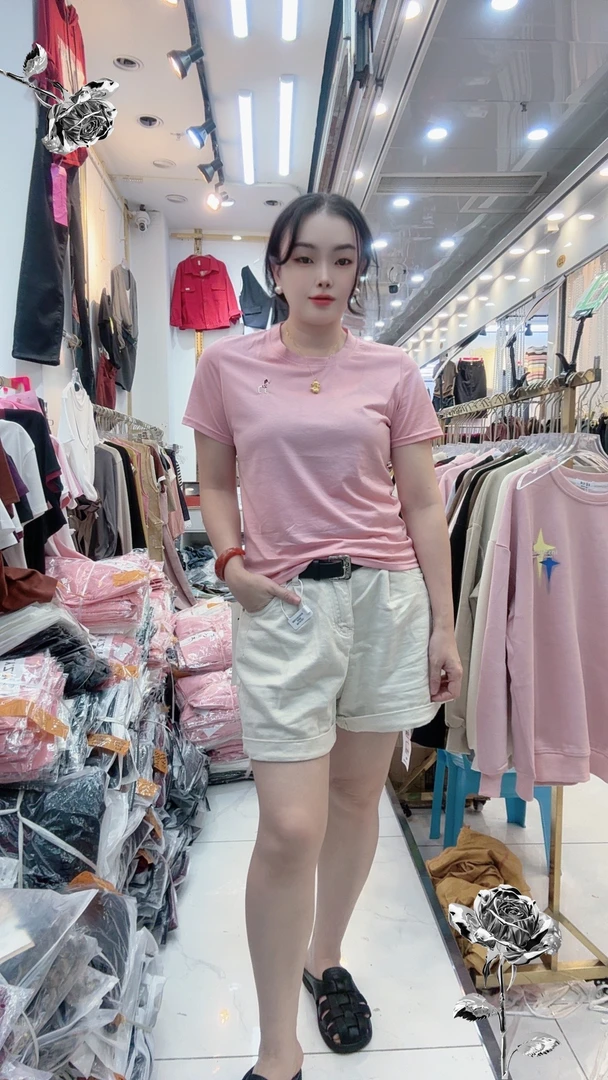 h刺绣丝光棉上衣新款弹性百搭气质简约休闲女t