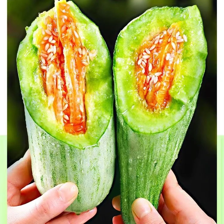 博洋61甜瓜羊角蜜  产地新鲜采摘【一件一斤】【五件起拍】水果