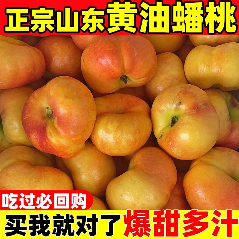 【现摘现发】山东蒙阴蜜桃彩虹蟠桃新鲜脆甜多汁尝鲜