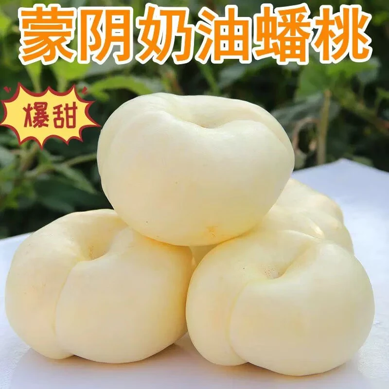 【现摘现发】正宗山东蒙阴纯甜奶油蟠桃脆甜应季孕妇水果尝鲜