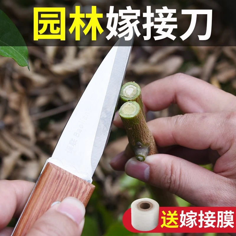 嫁接刀折叠多功能手工刀果树锋利接树芽接刀园艺工具刀嫁接神器