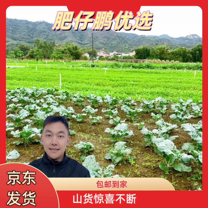【鹏仔好野】11小鹏山货优选 妈妈生鲜 菜