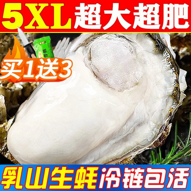 【顺丰包邮】正宗乳山生蚝买4斤再送1斤鲜活牡蛎可以刺身肥美海蛎子