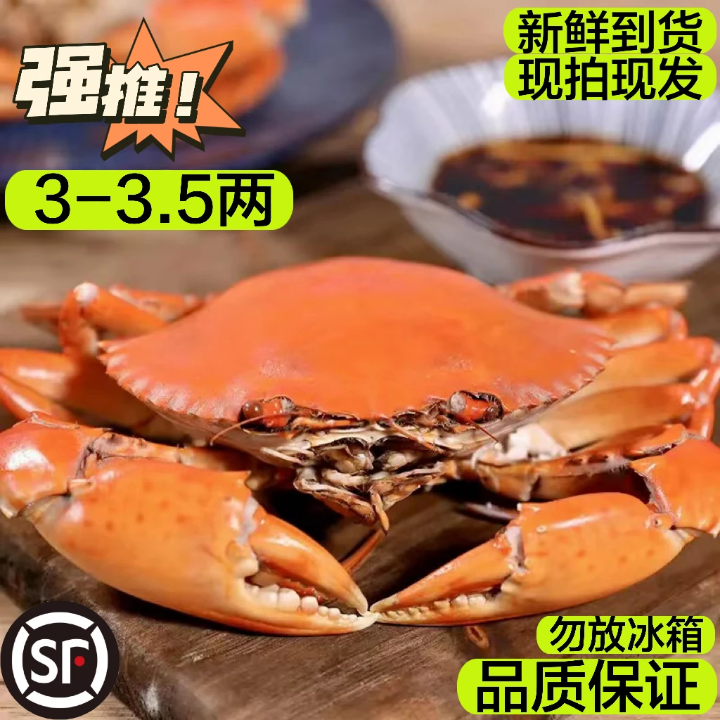 （5只起）每只3-3.5两红膏蟹生鲜海蟹青蟹母蟹肉质饱满鲜美顺丰发货