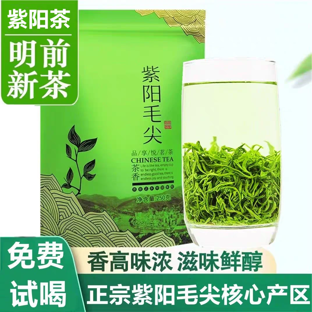 2024新茶紫阳富硒茶产区绿茶紫阳毛尖明前特级绿茶高山茶叶栗香