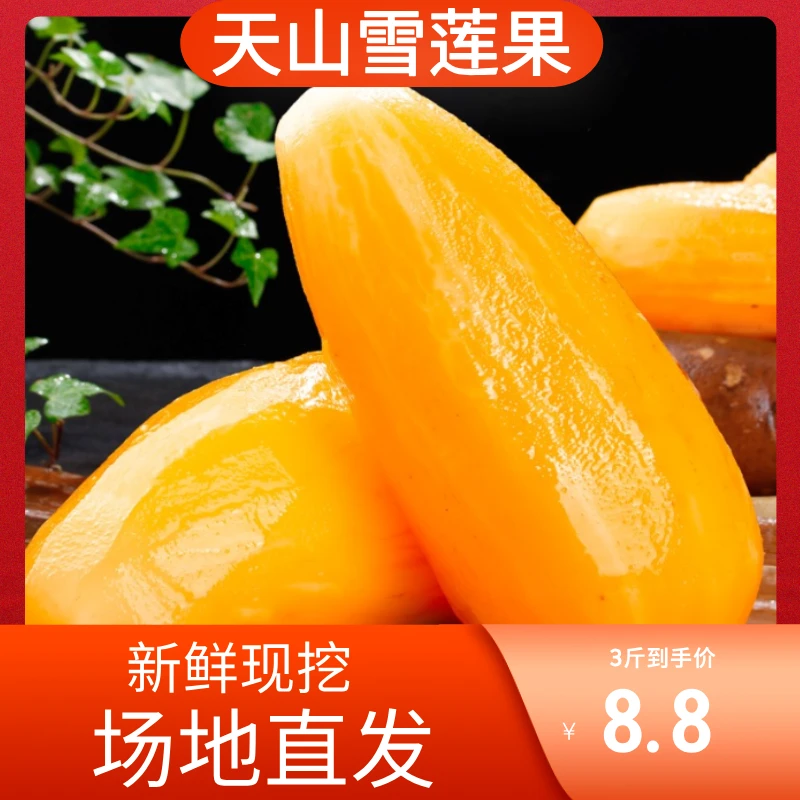 【新鲜现挖】正宗云南天山雪莲果红黄心香甜可口3斤5斤10斤包邮