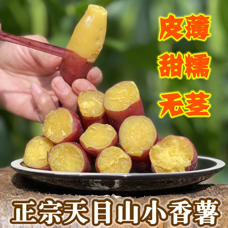 新鲜现挖红薯板栗子番薯5斤甜糯黄心壤地瓜正宗临安天目山小香薯