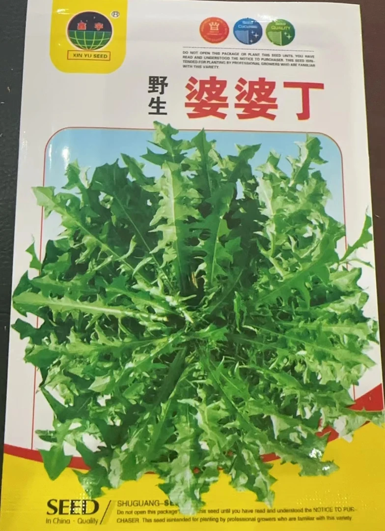 野生婆婆丁菜种子