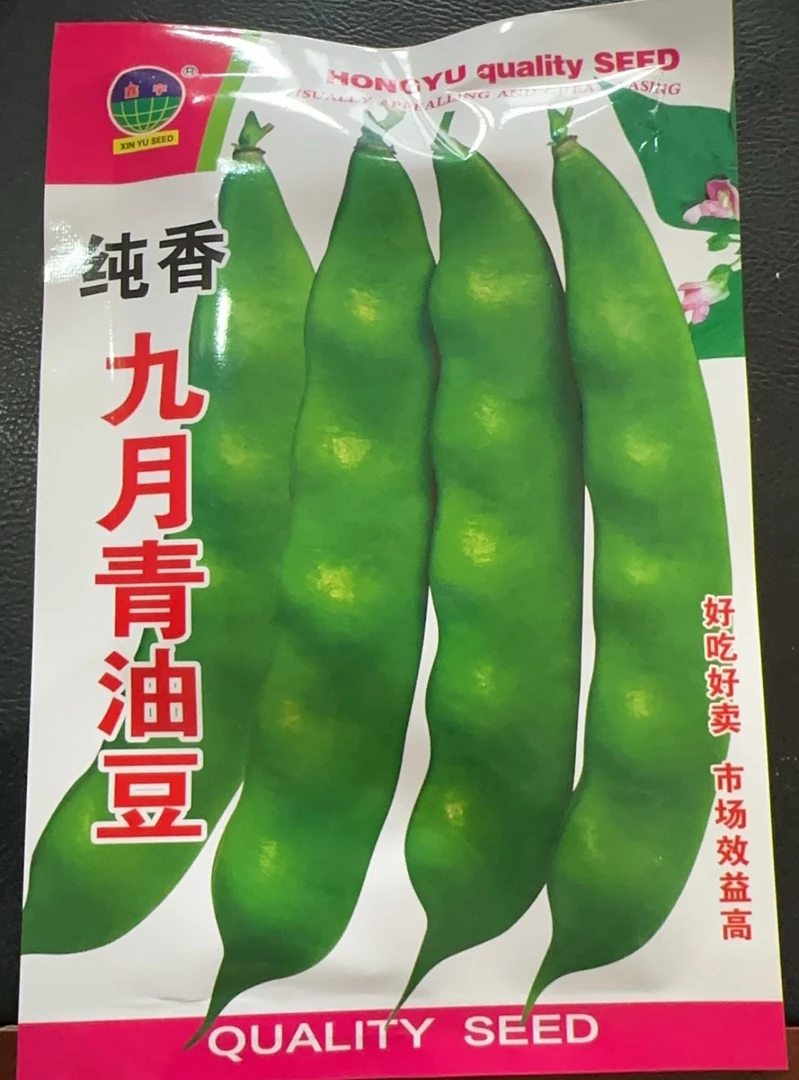九月青恋秋豆角种子