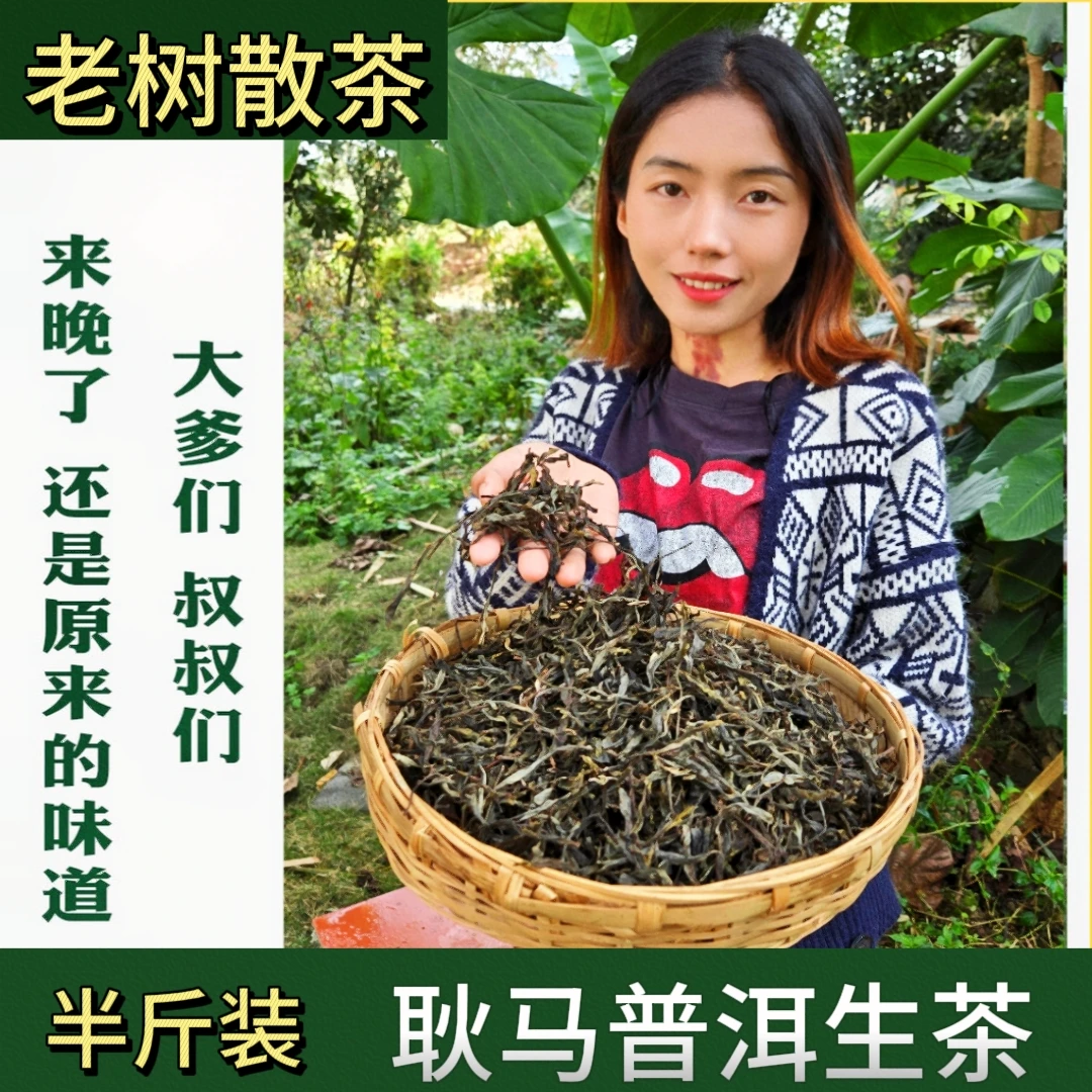 【大兴古树散茶】云南临沧古树普洱生茶早春大兴散茶透亮醇厚