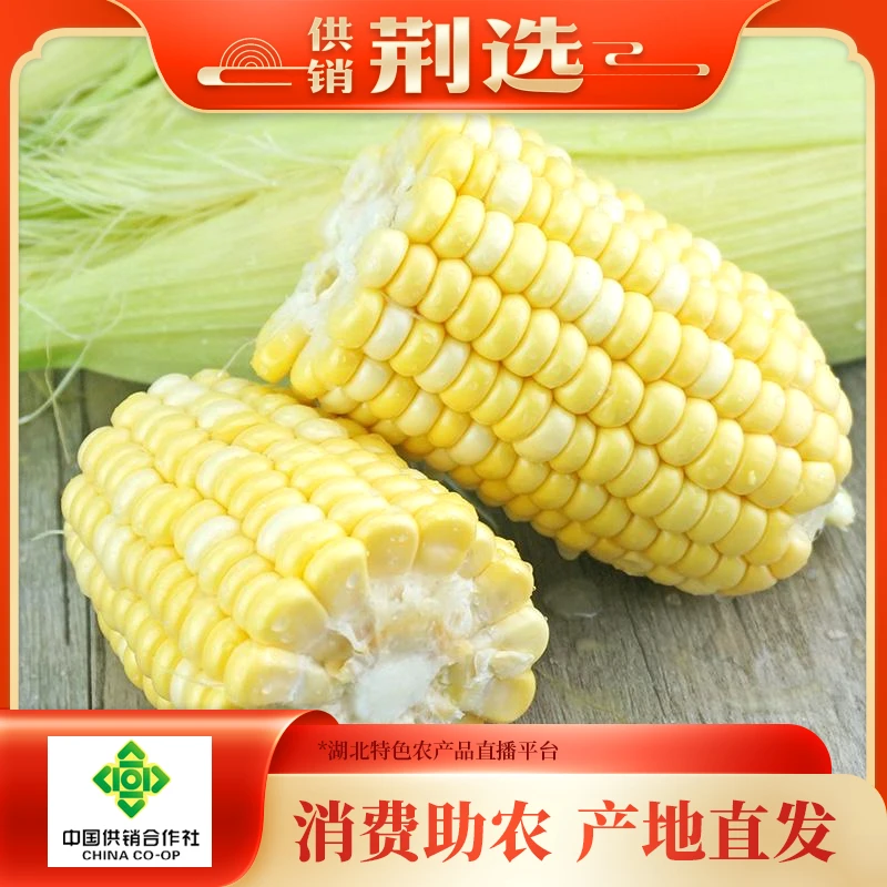 【宜昌】富硒牛奶水果玉米，可生食可熟食，到手4.5斤（5-7根）