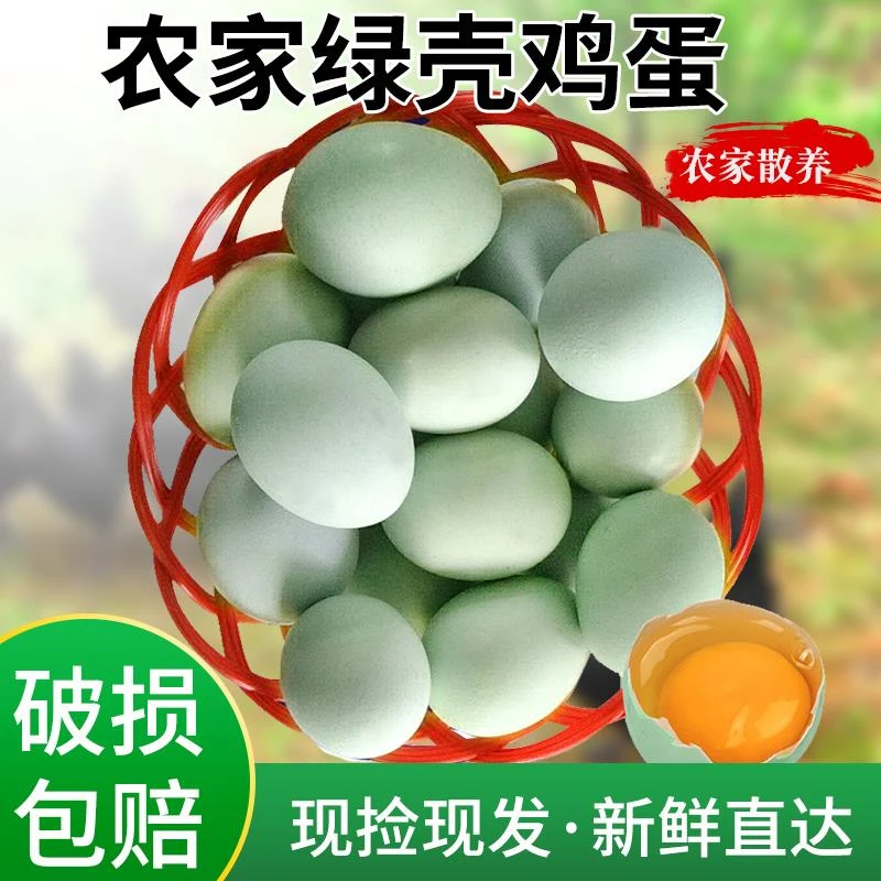 农家生态散养绿壳土鸡蛋绿壳乌鸡蛋绿壳草鸡蛋新鲜绿壳蛋天然喂养