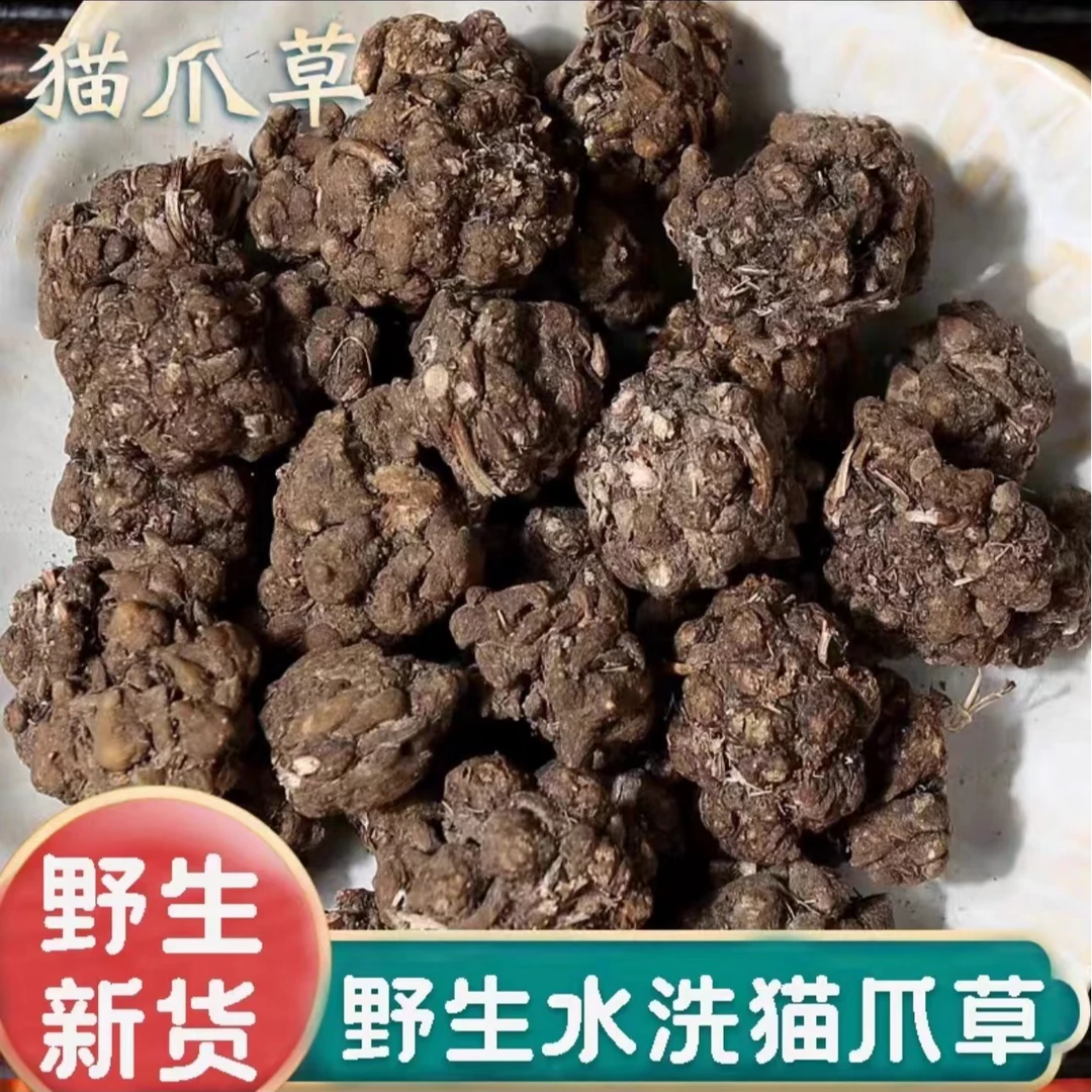 精选猫爪草新鲜干货品质野生水洗猫爪草泡水搭配当归原产地