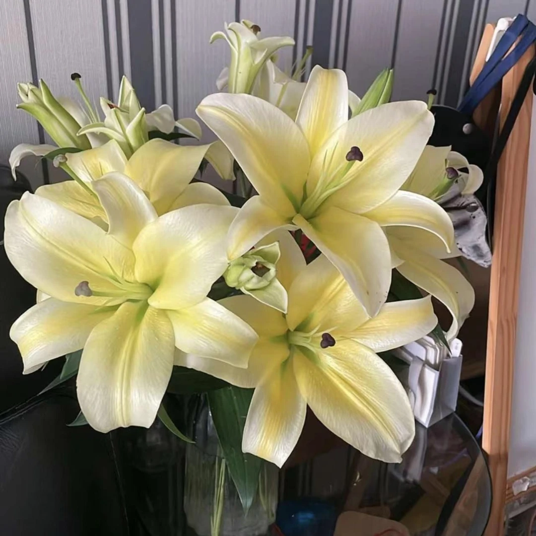 瑕疵香水百合（不售后）