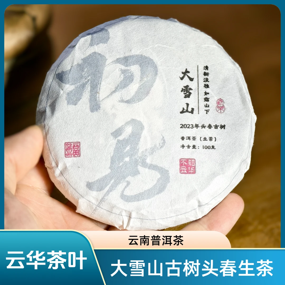 【初见】2023年 大雪山头春古树 普洱生茶