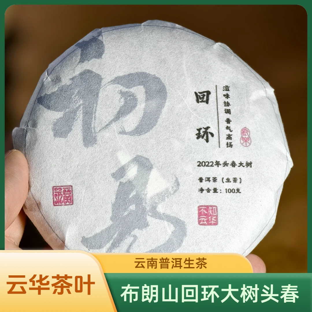 【初见】2022年 回环大树头春 普洱生茶