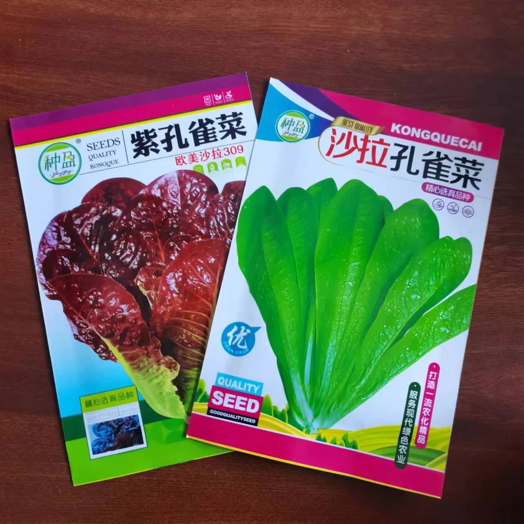 种盈孔雀菜种子组合