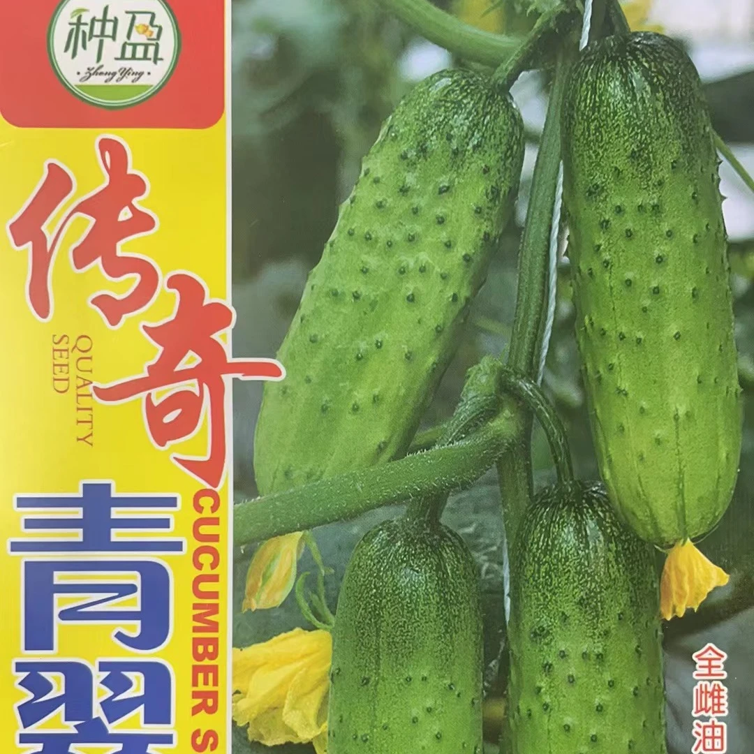 种盈传奇青翠黄瓜