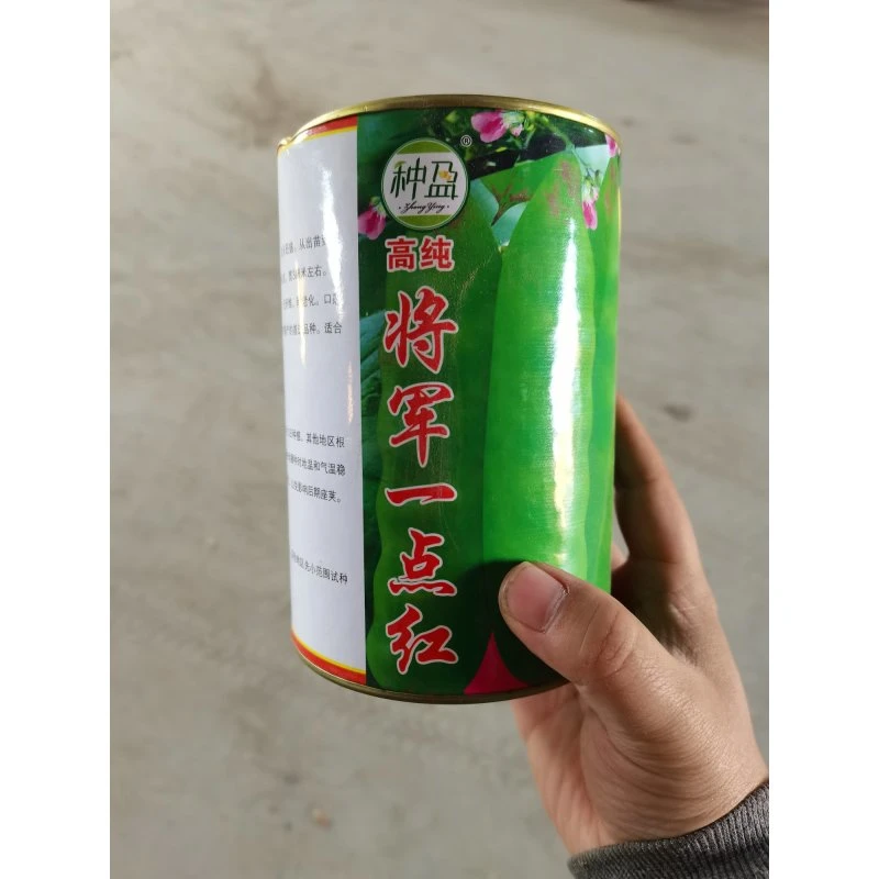 种盈将军一点红豆角种子