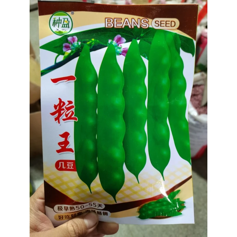 一粒王豆角也叫小孩胖腿