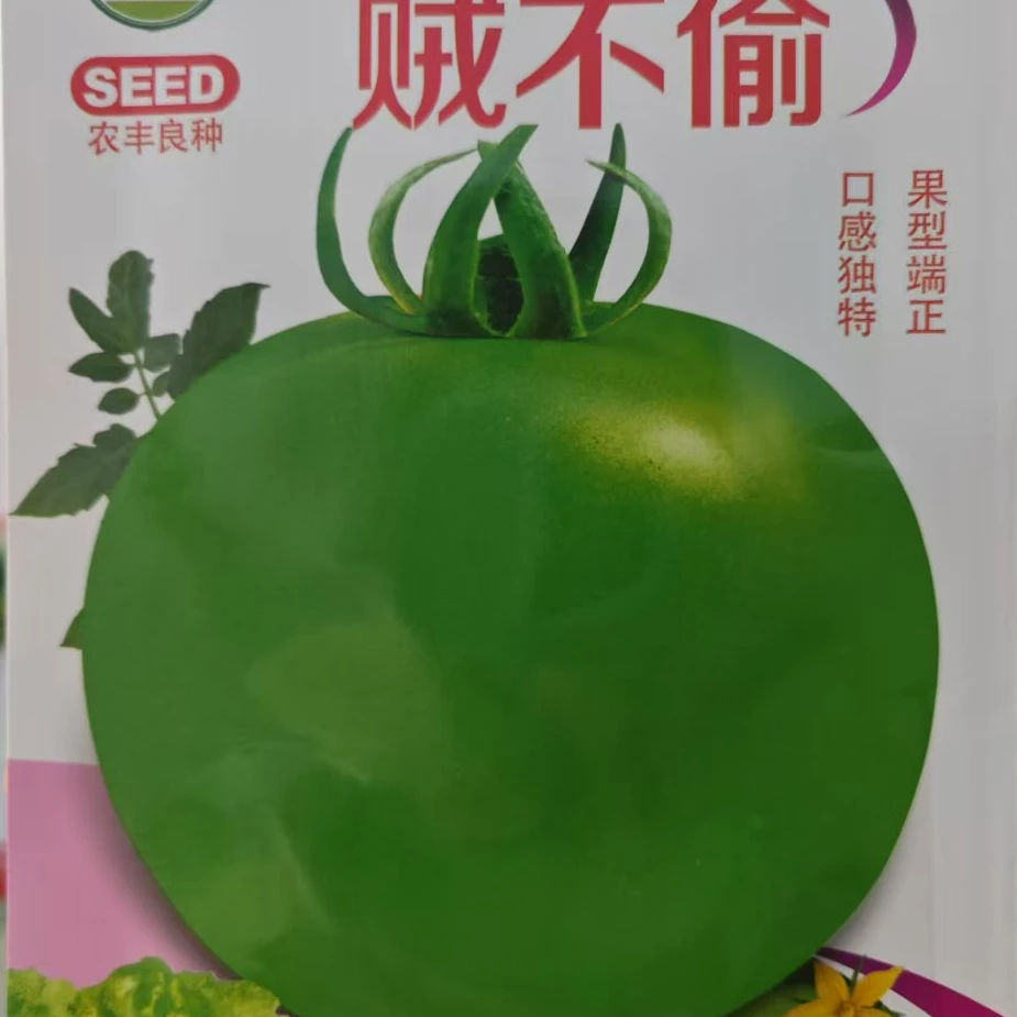 种盈贼不偷柿子种子