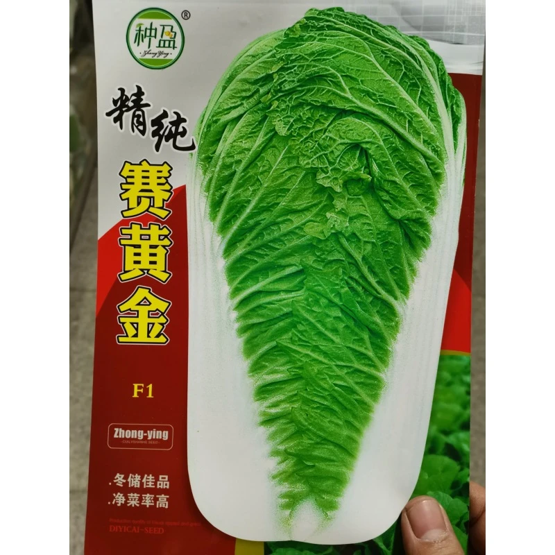 种盈赛黄金大白菜种子