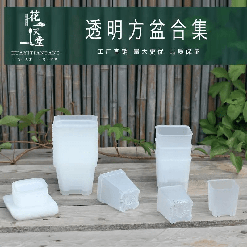 透明多肉方盆塑料花盆花卉蔬菜播种育苗盆肉锥生石草花种植控根盆