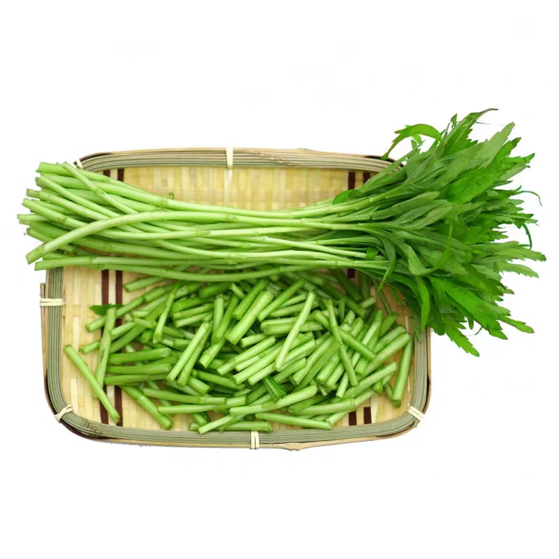 【南京特产】正宗八卦洲芦蒿3斤·去根只保留嫩叶绿色蔬菜