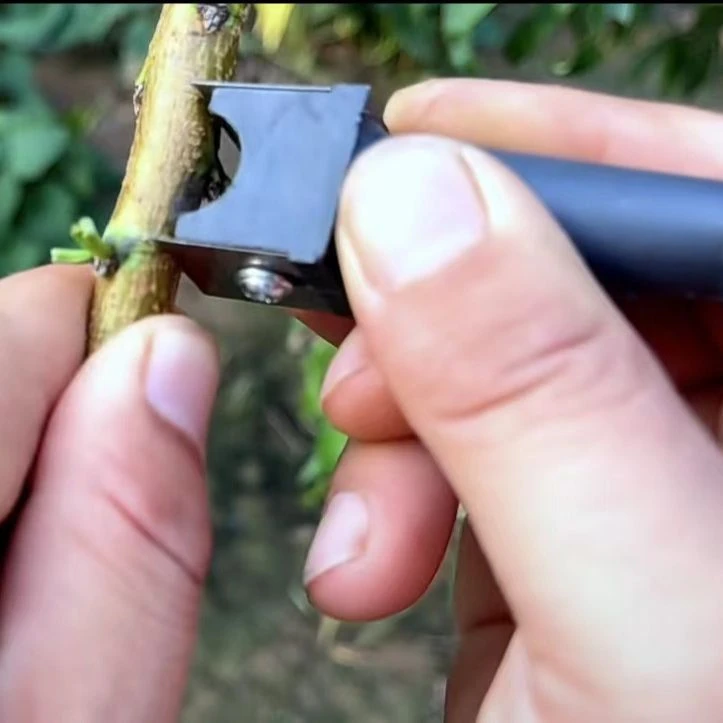 园林枝嫁接刀果树嫁接器 修枝园艺嫁接神器 双刀嫁接刀园林工具