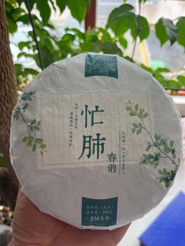 2022年忙肺头春小饼