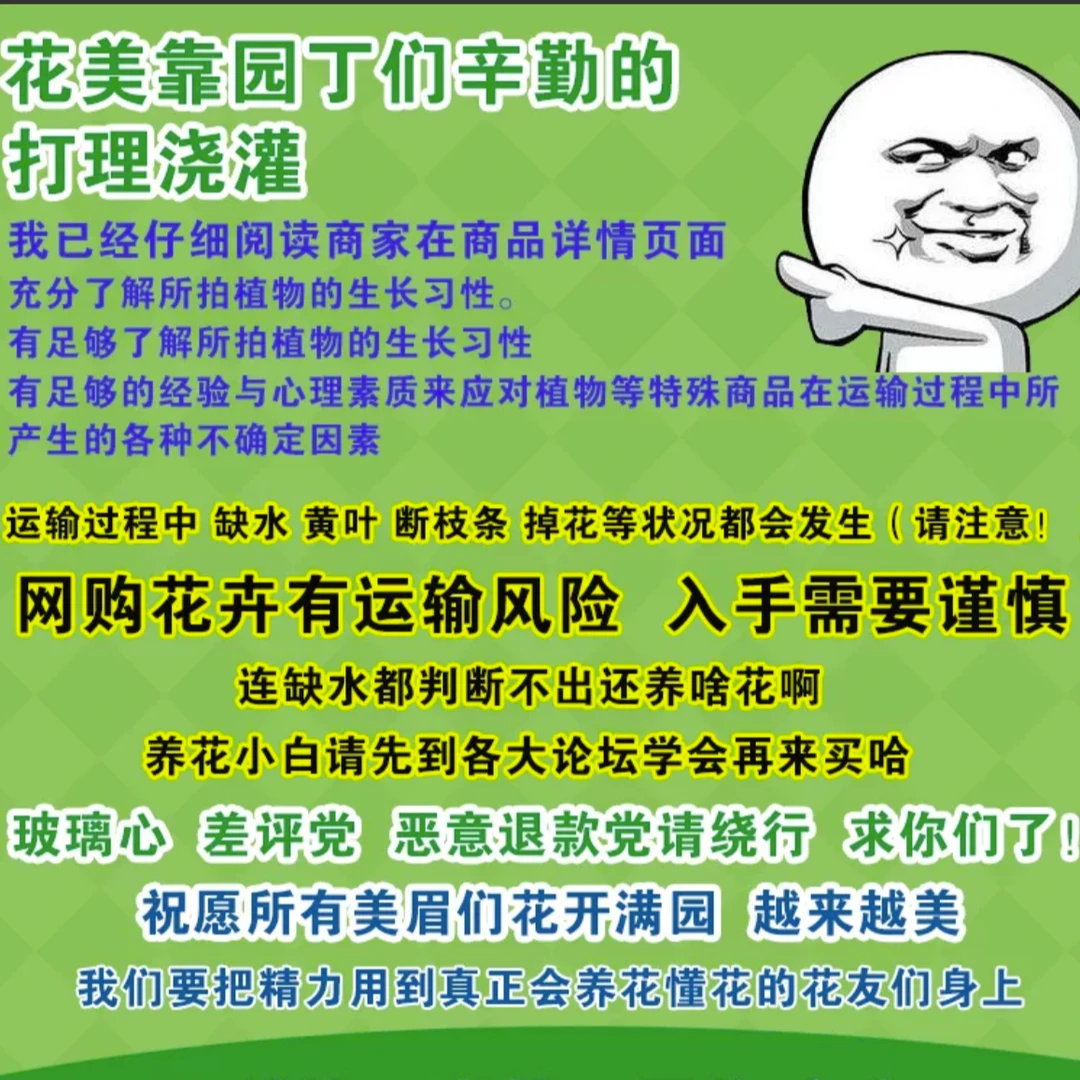 直播间专拍 拍前必看  请勿乱拍花卉绿植