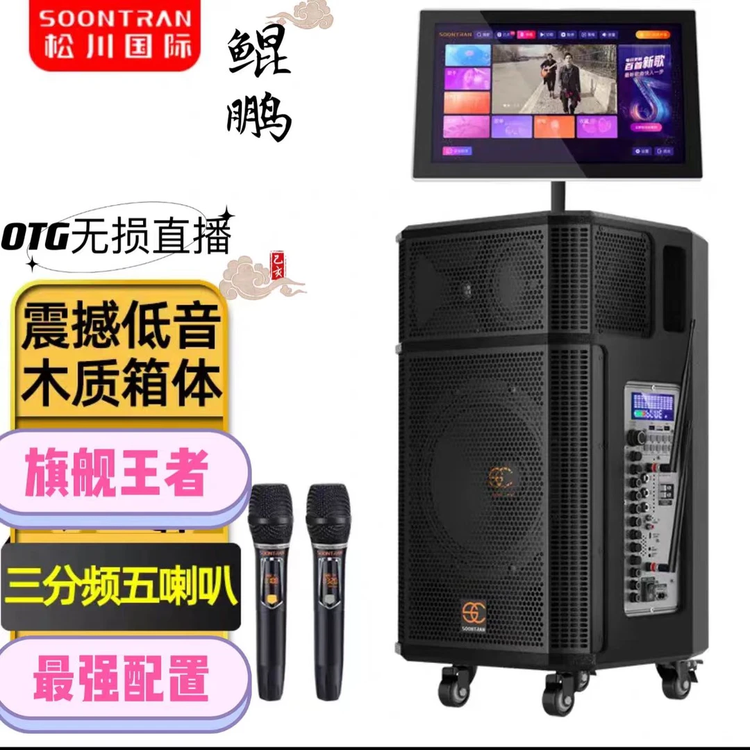 松川音响SG30-12鲲鹏音箱大功率户外K歌广场舞音响