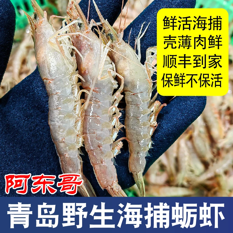 青岛野生海捕蛎虾3斤鲜活发货顺丰冷链包邮到货保鲜不保活