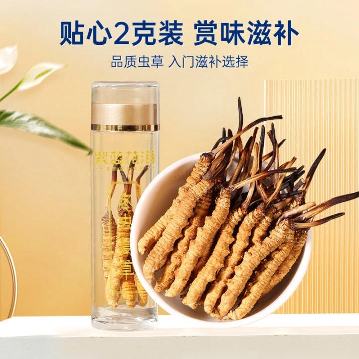 【阿弟虫草198】足干滋补养生好礼高品质冬虫夏草新货10根装