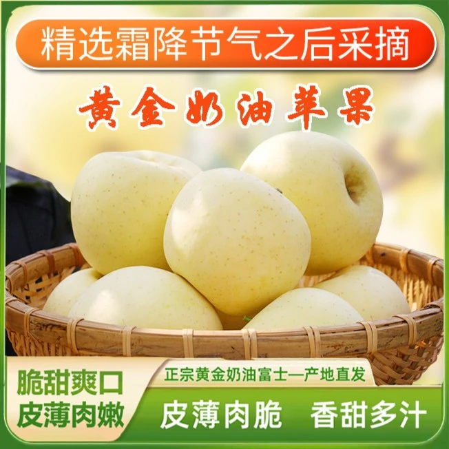 忆脆山东黄金奶油富士苹果头茬鲜果净重5斤-9.5斤/1箱A