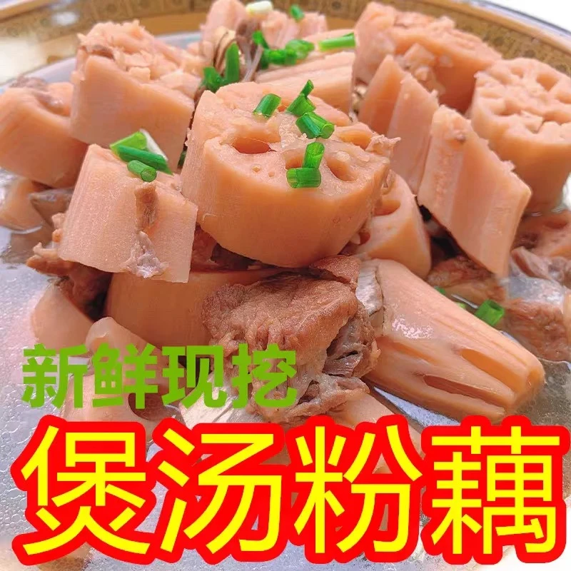 【不粉包赔】湖北仙桃沔城9孔莲藕新鲜粉糯煲汤香糯九孔红面藕