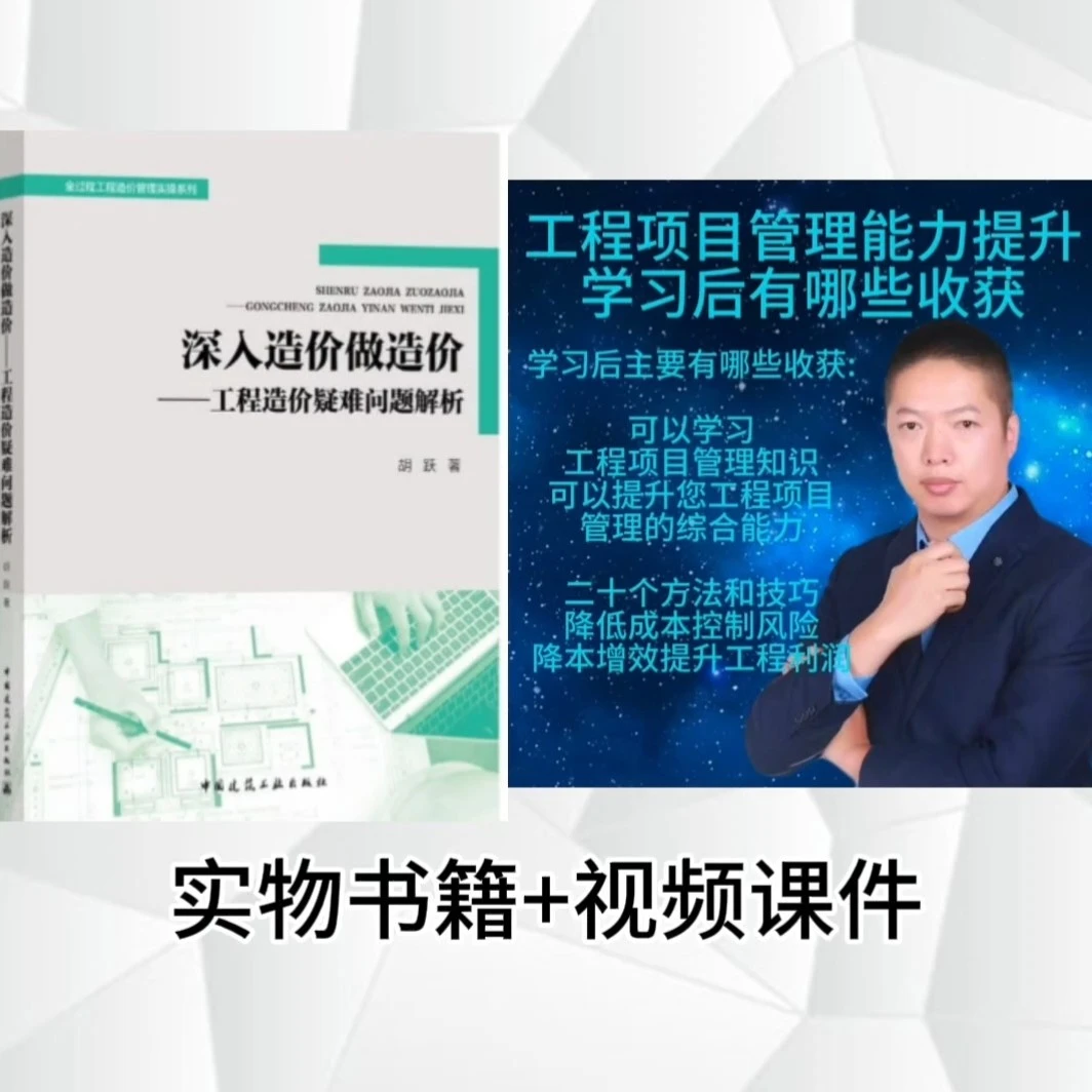深入造价做造价工程造价疑难问题解析书籍专业书籍