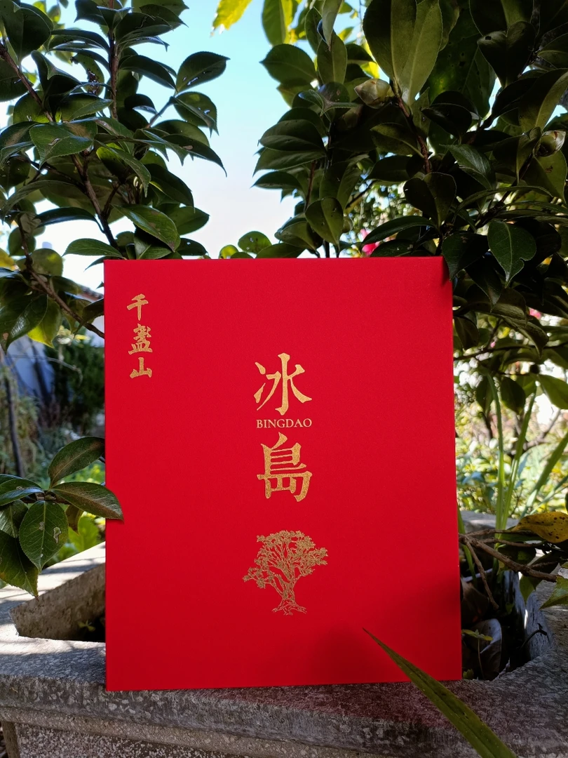 冰岛薄片古树普洱茶8克28袋装生茶