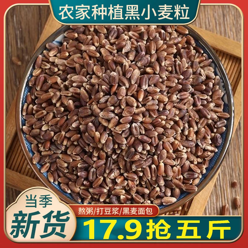 17.9抢5斤】新货黑小麦新疆黑色小麦磨面煮粥打浆杂粮黑麦批发