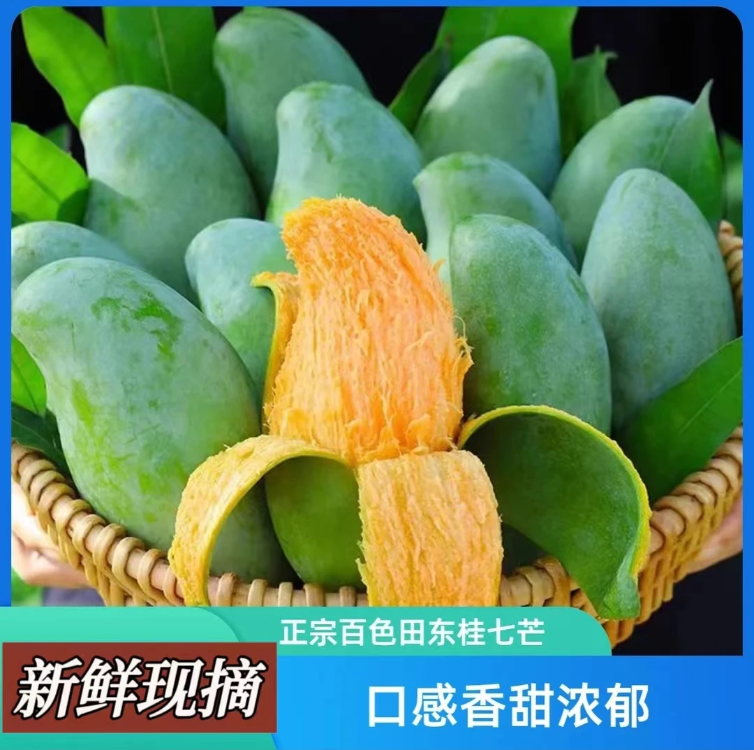 广西百色青桂七芒香甜多汁新鲜当季水果5斤/9斤食用细腻