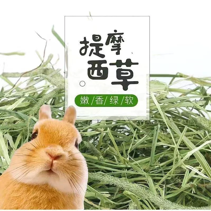 提摩西草兔子草兔粮新鲜烘干牧草干草提草兔粮龙猫荷兰猪饲料