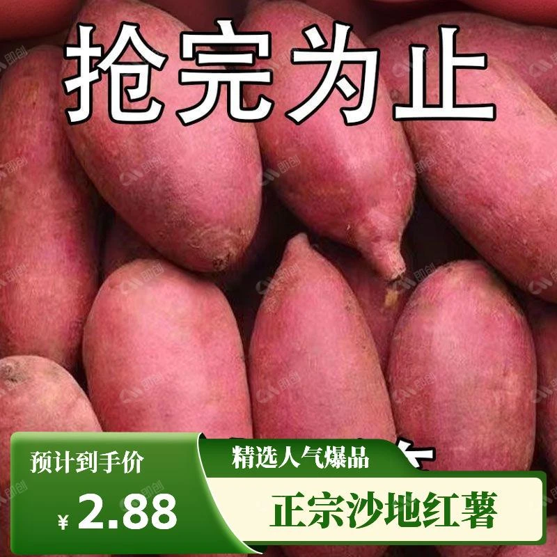【抢购中】新鲜香甜沙地红薯红黄心蜜薯地瓜板栗番薯软糯香甜烤地瓜