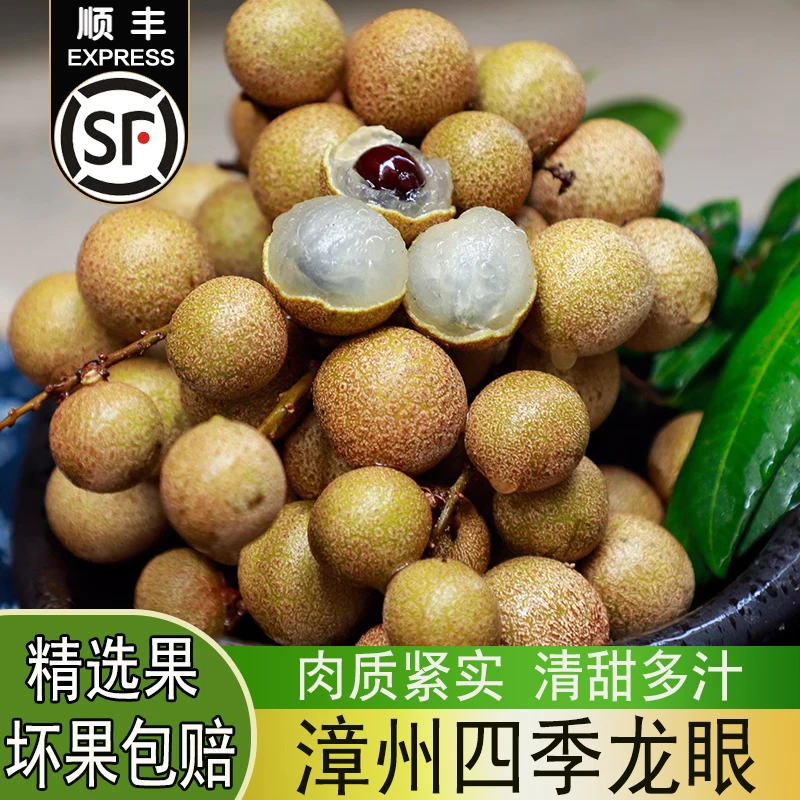 【顺丰】福建漳州四季龙眼新鲜带叶当季孕妇水果脆甜小石硖储良龙眼