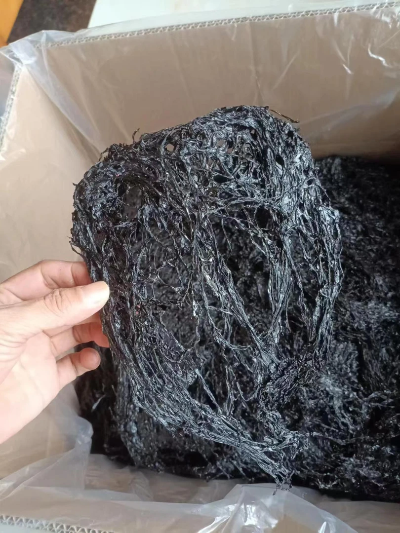 福建特产新鲜霞浦紫菜500g农家特级无沙