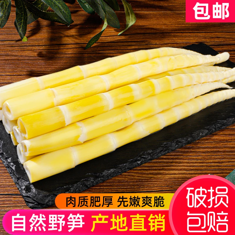 竹笋新鲜嫩笋尖袋装小竹笋江西特产清水竹笋火锅笋批发非即食笋尖
